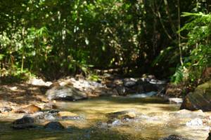 BIB: 
                            <button type="button" onclick="openModal(21853167)" class="btn btn-primary btn-sm float-right btn-popup" data-toggle="modal" data-target=".modal-high-quality">
                        <i class="fas fa-shopping-cart"></i> Add to Cart
                    </button>
                                            <button type="button" onclick="isThisMe(21853167, true)" class="btn btn-success btn-sm float-right btn-popup btn-isme hidden" data-toggle="tooltip" data-placement="bottom" title="นี่คือรูปของคุณใช่ไหม คลิกที่นี่เพื่อเอาเข้าอัลบั้ม">
                        <i class="fas fa-plus"></i> Add to album
                    </button>
                    <button type="button" onclick="isThisMe(21853167, false)" class="btn btn-warning btn-sm float-right btn-popup btn-isnotme hidden">
                        <i class="fas fa-ban"></i> Remove from album
                    </button>